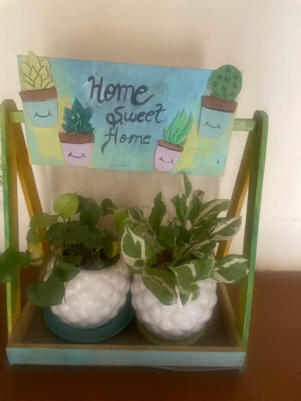 MDF Snake Plant, Aloe Vera and Cactus - Image 5